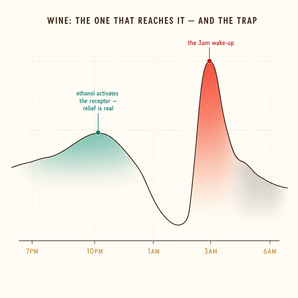 Editorial chart of wine reaching the GABA-A receptor at 7pm then rebounding into a cortisol spike between 1am and 4am.