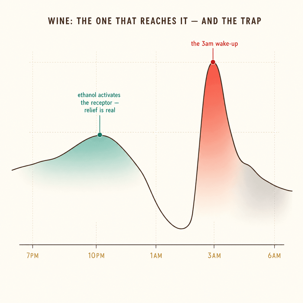 Editorial chart of wine reaching the GABA-A receptor at 7pm then rebounding into a cortisol spike between 1am and 4am.